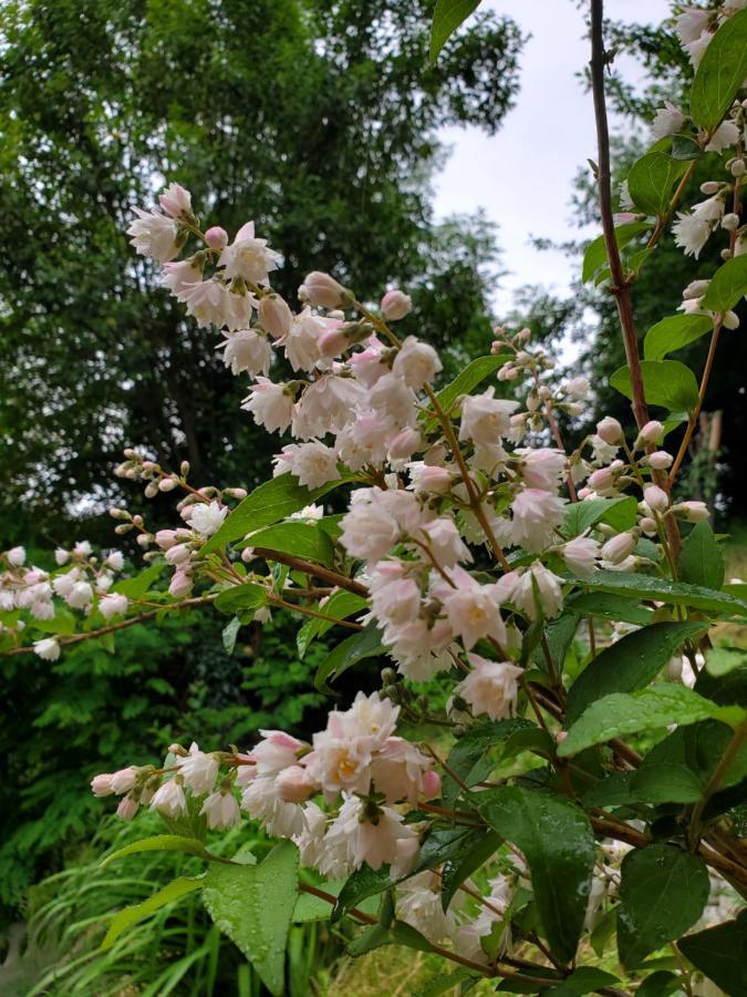 Beehives Apartman Kutaiszi Kültér fotó