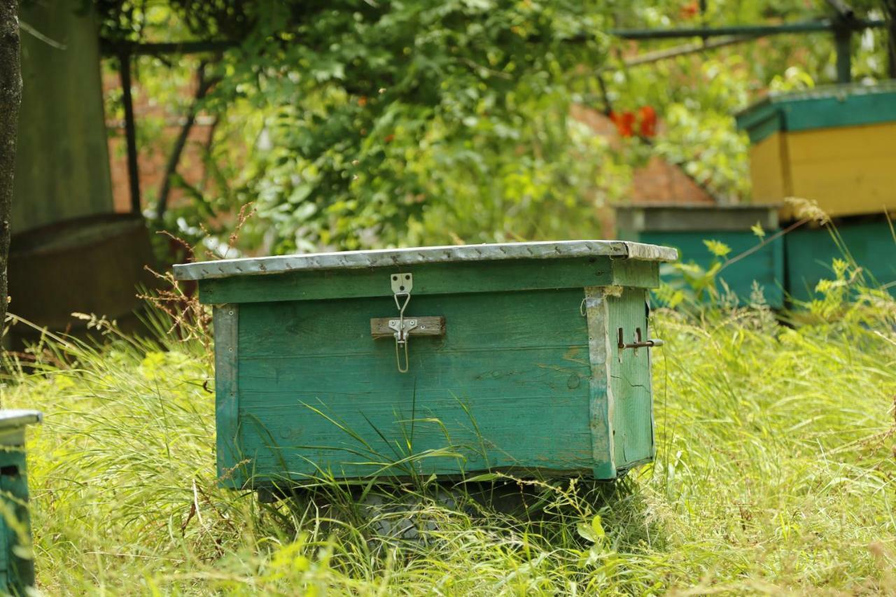 Beehives Apartman Kutaiszi Kültér fotó