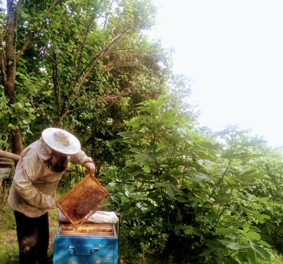 Beehives Apartman Kutaiszi Kültér fotó